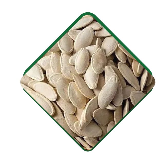 Pumpkin Seed